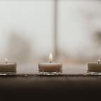 THE MANIFESTATION OF THE HOLY TRINITY IN CREATION