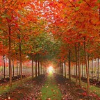 The Help From God for Human Spirits