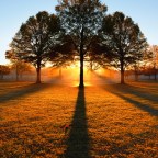 The Meaning and Essence of Worship